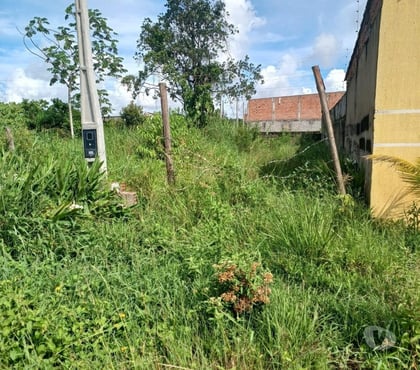 Terrenos a venda - Fotos para IT308 Terreno - Jardim Regina - Itanhaém