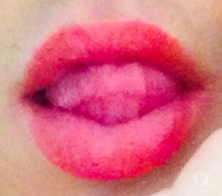 Encontros Casuais Porto Alegre RS Porto Alegre Leste - images_alt_text Cadela no Cio Busca Macho