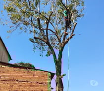 Destocador rebaixador de tocos