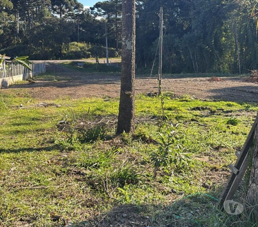 Terrenos Pien PR - Fotos para Terreno pronto para construir