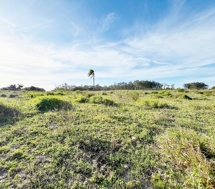 Terrenos - Fotos para Terreno com 5.3 ha. no Arroio Corrente - Jaguaruna SC