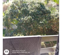 Casa a venda bairro Operária Nova Maria Céu Criciúma