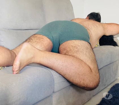 Encontros Casuais - Fotos para Urso Passivo Rabudo