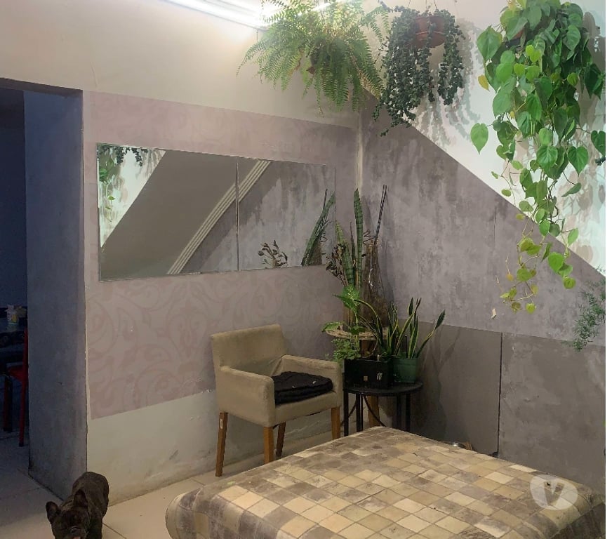 Quarto para Alugar Sao Paulo SP Mooca - Fotos para Quartos para Alugar em São Paulo