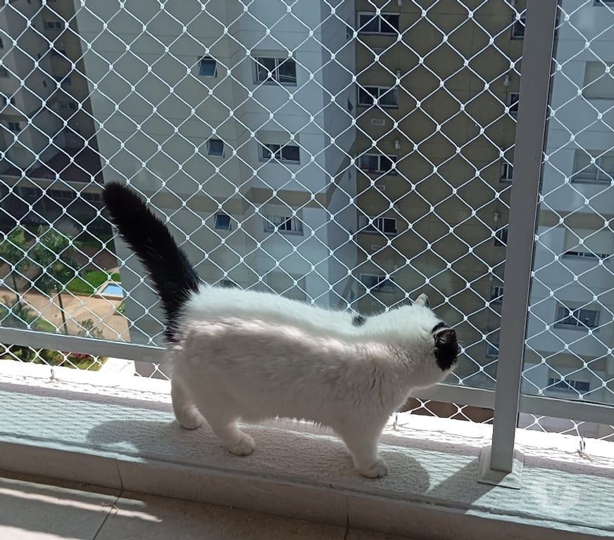 Reparo - Conserto - Reforma Sao Paulo SP Outros Bairros Sao Paulo SP - Fotos para Rede de Proteção