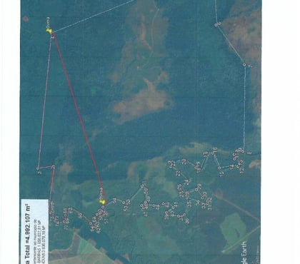 Fazendas - Sitios à venda - Fotos para Fazenda para reflorestamento.