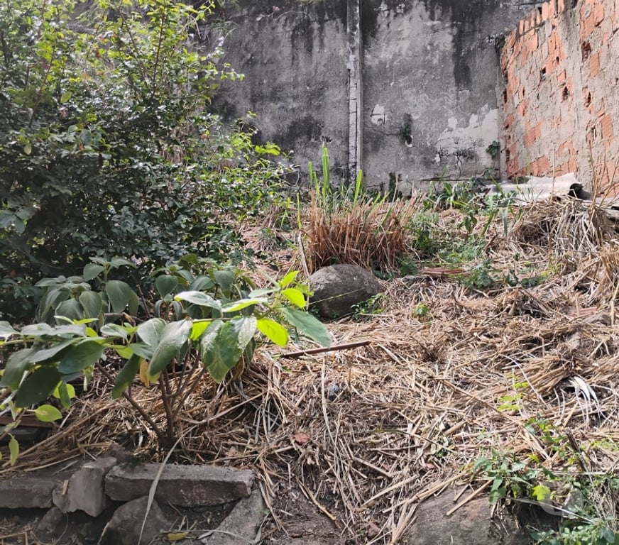 Apartamentos a venda Rio de Janeiro RJ Olaria - Fotos para CASINHA COM TERRENO EM OLARIA ACEITO PROPOSTAS