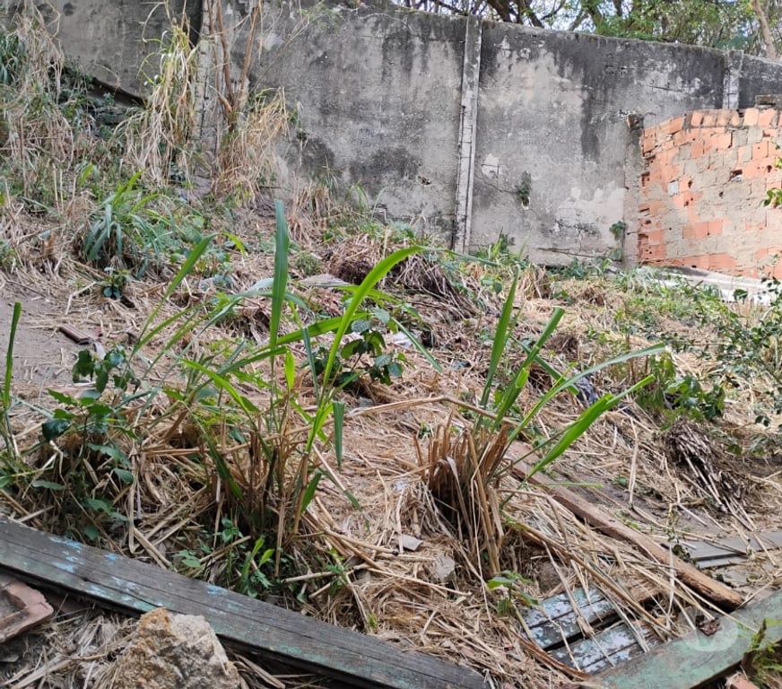 Apartamentos a venda Rio de Janeiro RJ Olaria - Fotos para CASINHA COM TERRENO EM OLARIA ACEITO PROPOSTAS