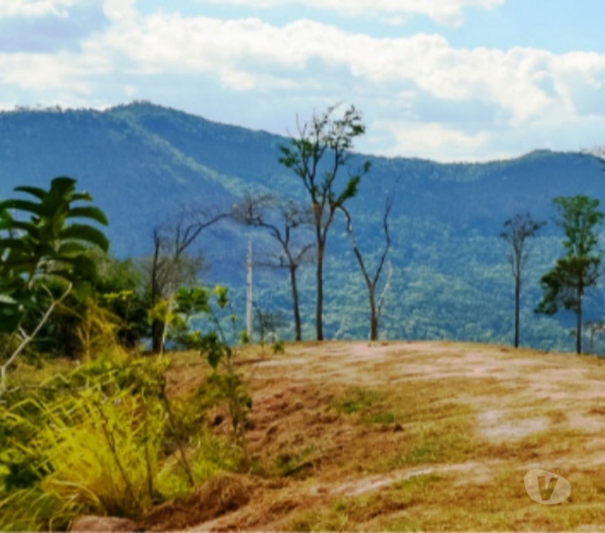 Terrenos Petropolis RJ - Fotos para Terrenos de Alto Padrão - Pedro do Rio - Petrópolis RJ