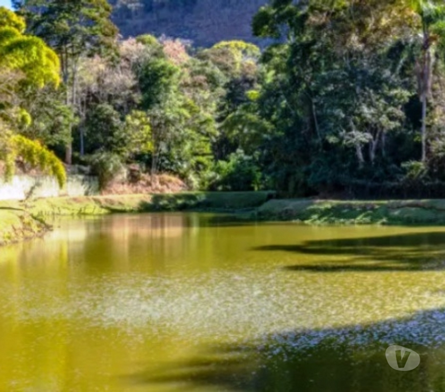 Terrenos Petropolis RJ - Fotos para Terrenos de Alto Padrão - Pedro do Rio - Petrópolis RJ