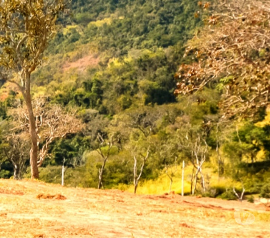 Terrenos Petropolis RJ - Fotos para Terrenos de Alto Padrão - Pedro do Rio - Petrópolis RJ