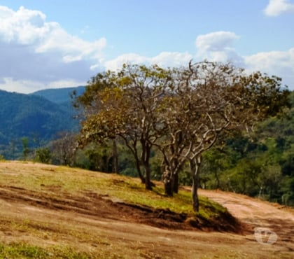 Terrenos - images_alt_text Terrenos de Alto Padrão - Pedro do Rio - Petrópolis RJ