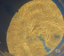 FAÇO LIMPEZA DE CAIXA D' ÁGUA