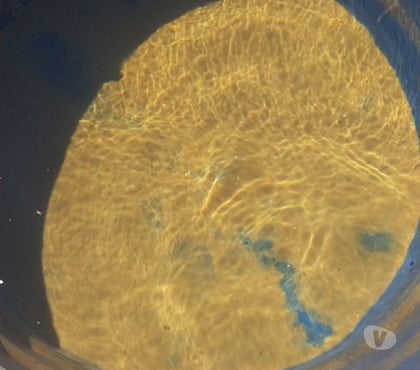 Outros serviços Santa Cruz, Rio de Janeiro Rio de Janeiro RJ - Fotos para FAÇO LIMPEZA DE CAIXA D' ÁGUA