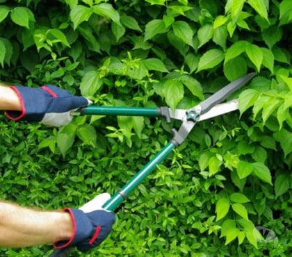 Outros serviços - Fotos para Jardineiro_Serviços de Jardinagem