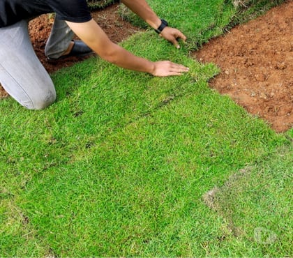 Outros serviços - Fotos para Manutenção de grama, Poda e Plantio