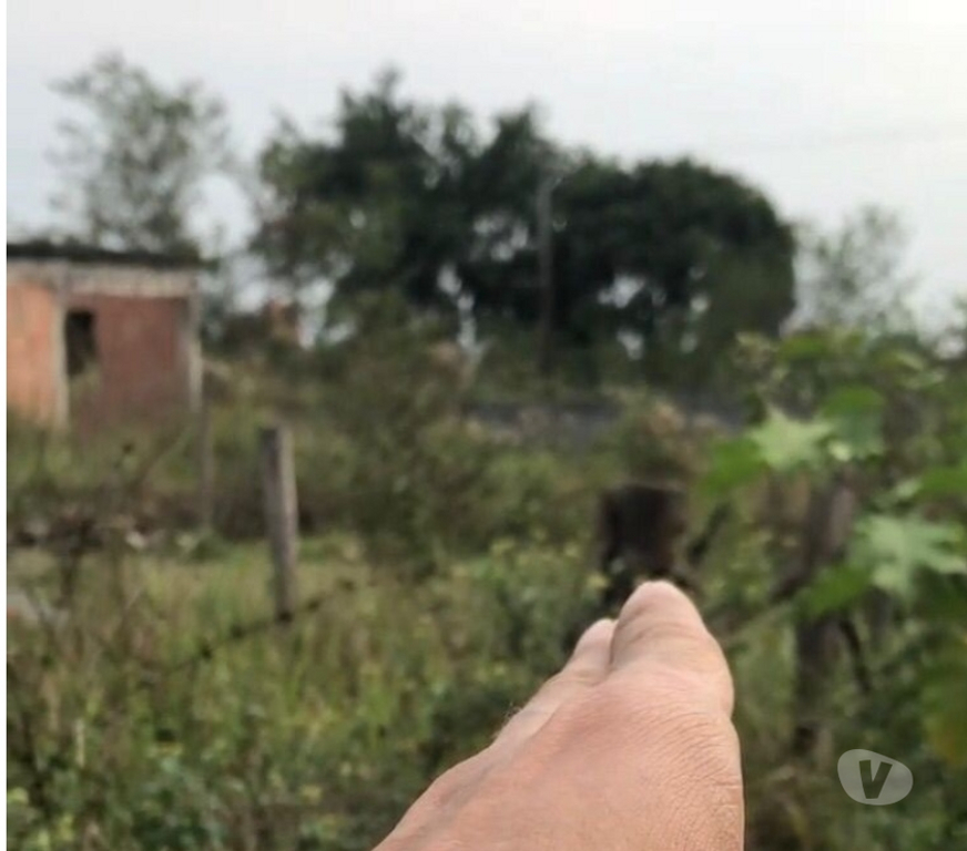 Terrenos Rio de Janeiro RJ Outros Bairros Rio de Janeiro RJ - Fotos para Terreno 10x20 no Ipiranga – Região em crescimento!