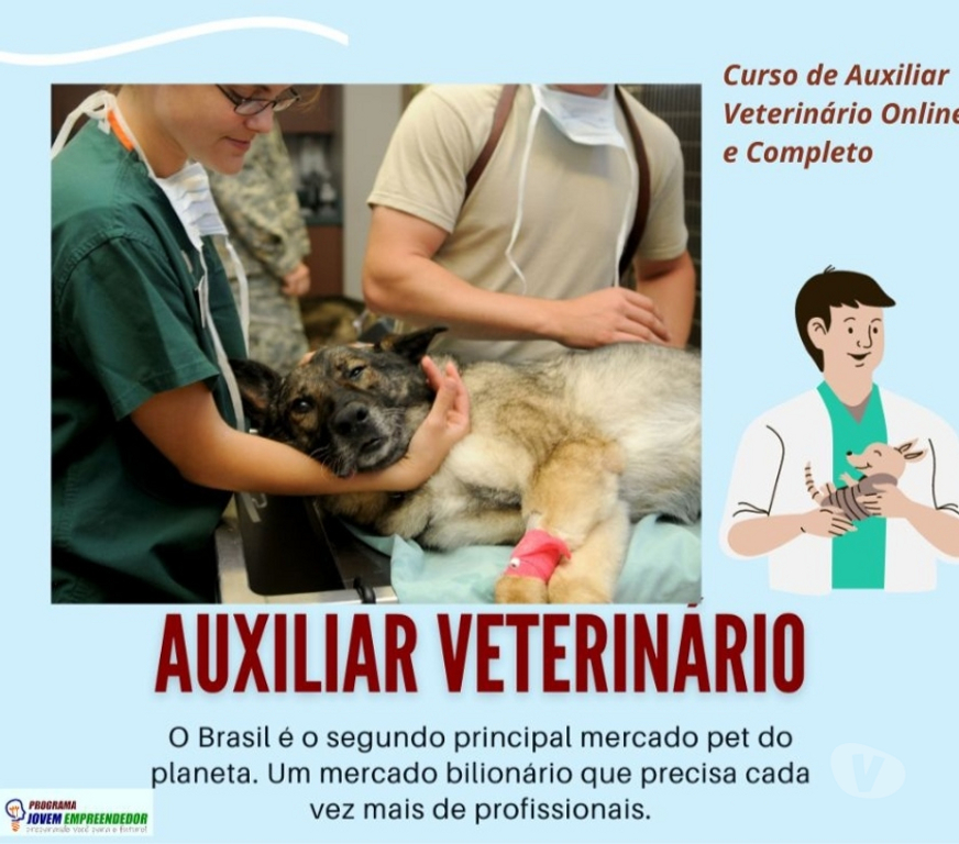 Capacitação profissional Porto Alegre RS Porto Alegre Centro - Fotos para Curso Auxiliar Veterinário em vídeo aulas e Certificado