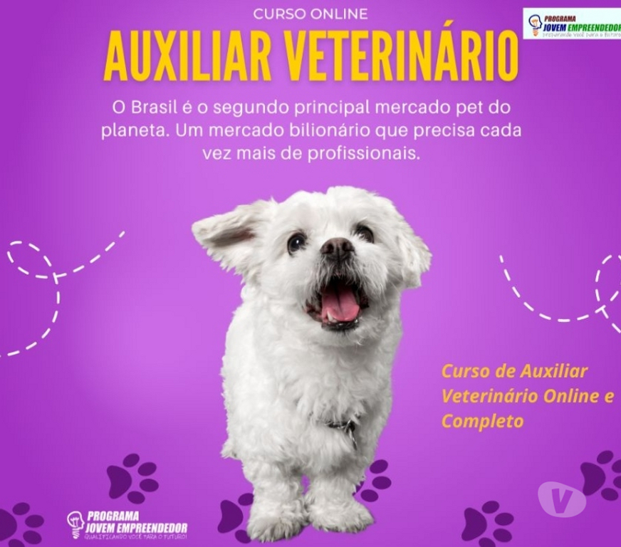 Capacitação profissional Porto Alegre RS Porto Alegre Centro - Fotos para Curso Auxiliar Veterinário em vídeo aulas e Certificado