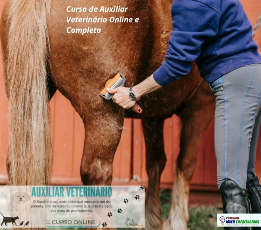 Capacitação profissional Porto Alegre RS Porto Alegre Centro - Fotos para Curso Auxiliar Veterinário em vídeo aulas e Certificado