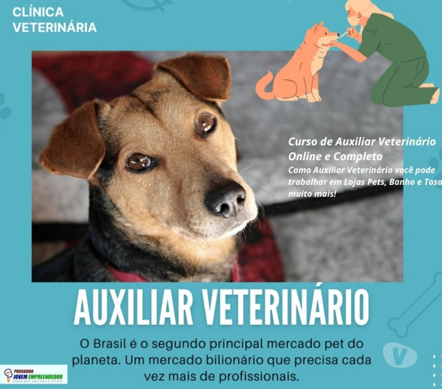 Capacitação profissional Porto Alegre RS Porto Alegre Centro - Fotos para Curso Auxiliar Veterinário em vídeo aulas e Certificado