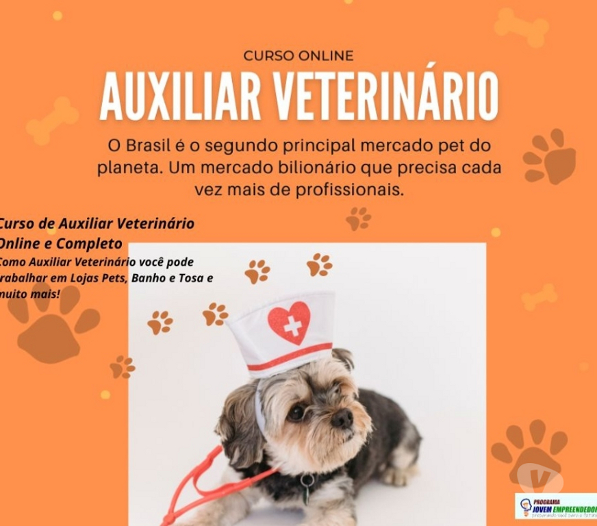 Capacitação profissional Porto Alegre RS Porto Alegre Centro - Fotos para Curso Auxiliar Veterinário em vídeo aulas e Certificado