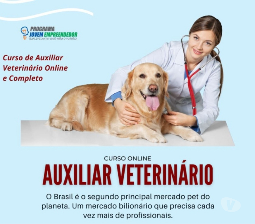 Capacitação profissional Porto Alegre RS Porto Alegre Centro - Fotos para Curso Auxiliar Veterinário em vídeo aulas e Certificado