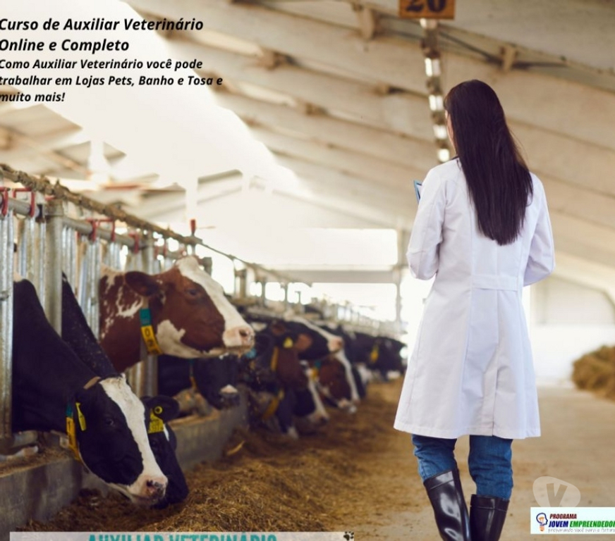 Capacitação profissional Porto Alegre RS Porto Alegre Centro - Fotos para Curso Auxiliar Veterinário em vídeo aulas e Certificado