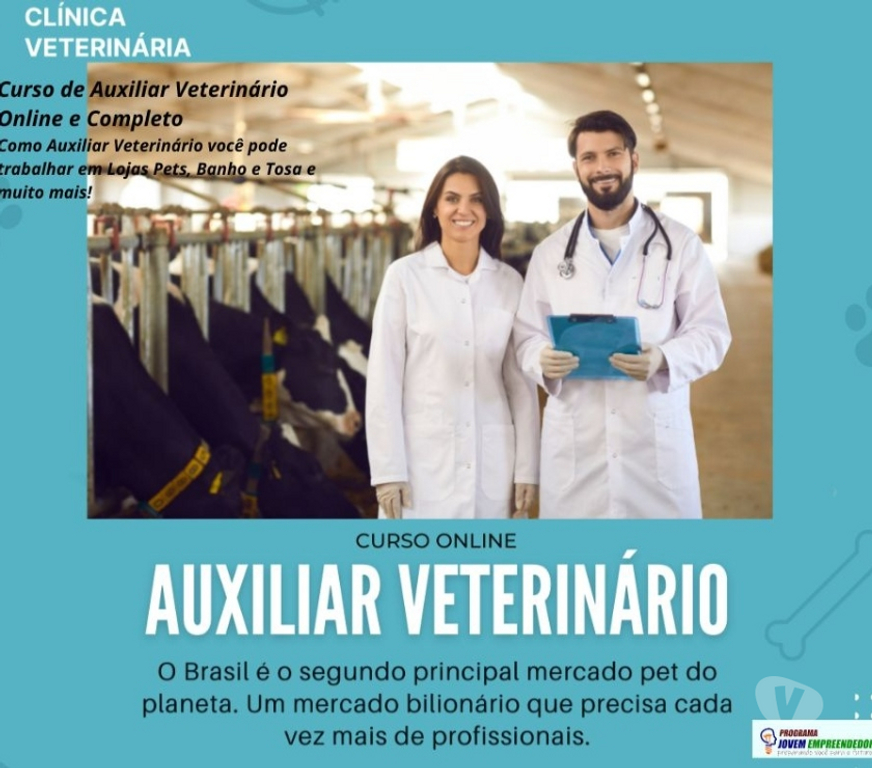 Capacitação profissional Porto Alegre RS Porto Alegre Centro - Fotos para Curso Auxiliar Veterinário em vídeo aulas e Certificado