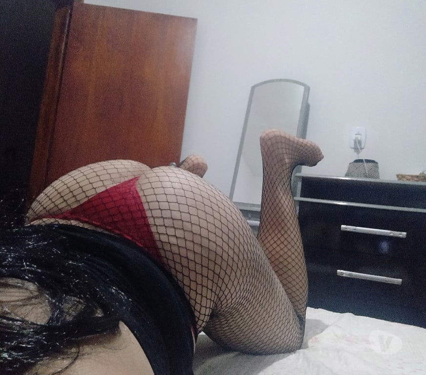 Encontros Casuais Goiania GO - Fotos para Cedezinha para machos casado e malhado