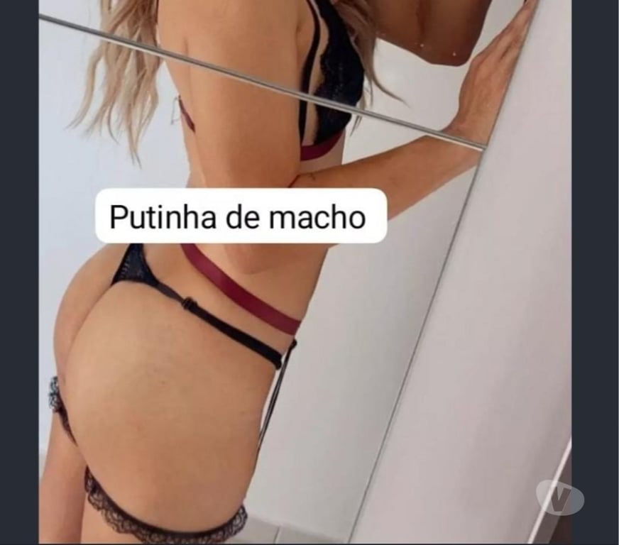 Encontros Casuais Curitiba PR Fazendinha-Portão - Fotos para Cdzinha putinha de macho (leia)