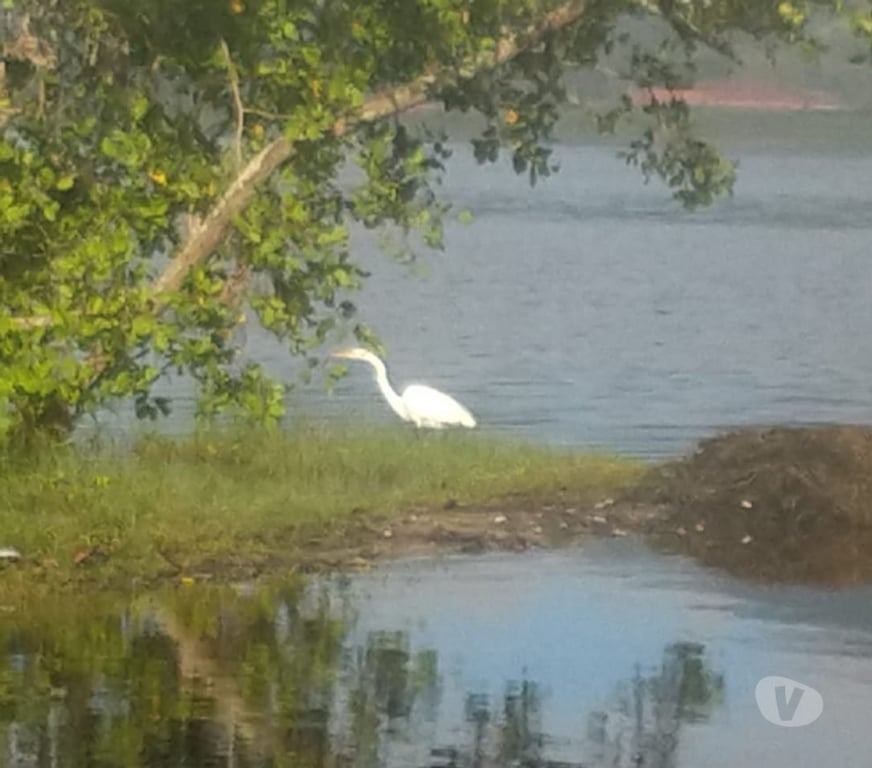 Terrenos Saquarema RJ - Fotos para Terreno Saquarema
