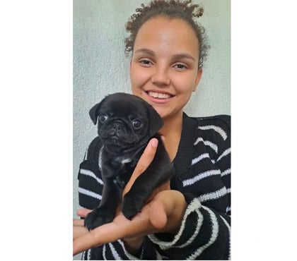 Animais Estimação à Venda - images_alt_text Pug Black pais com pedigree CBKC