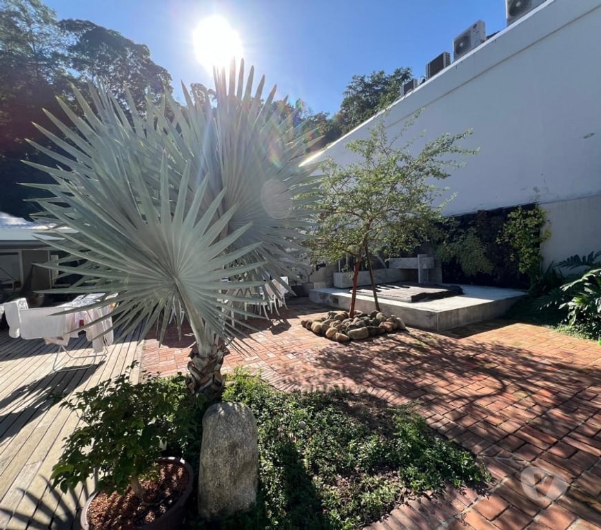 Apartamentos a venda Rio de Janeiro RJ Itanhanga - Fotos para Aguas do Itanhanga - Casa linear de 3 quartos com 256m2