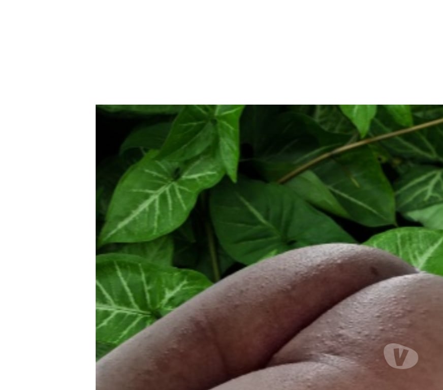 Encontros Casuais Manaus AM - Fotos para Passivo para casados