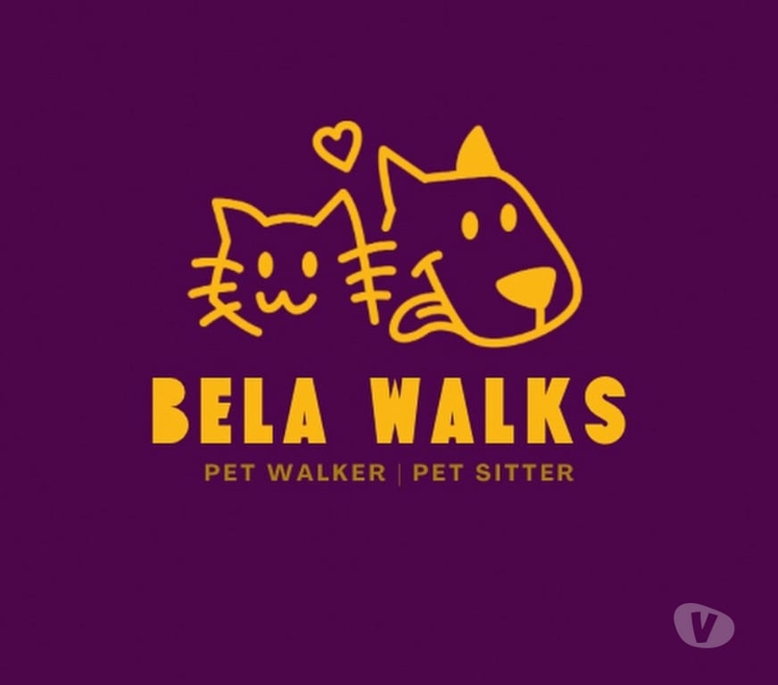 Veterinários - Serviços - Acessórios Vitoria ES Camburi - Fotos para Dog Walker e Pet Sitter