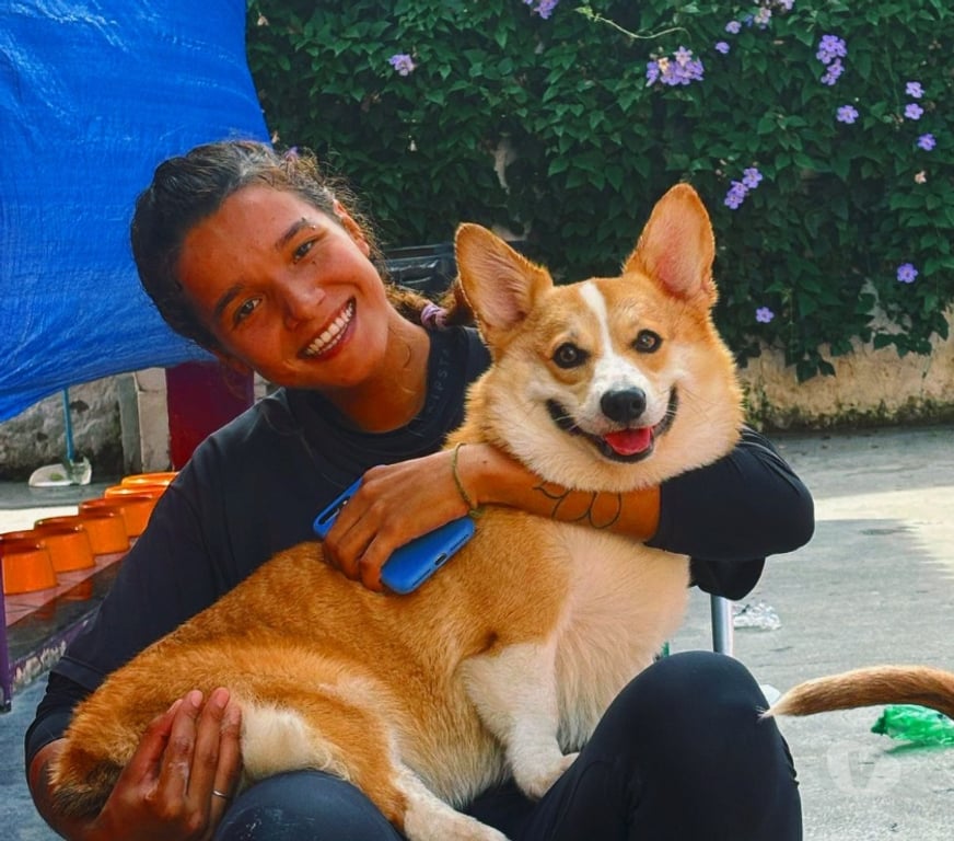 Veterinários - Serviços - Acessórios Vitoria ES Camburi - Fotos para Dog Walker e Pet Sitter