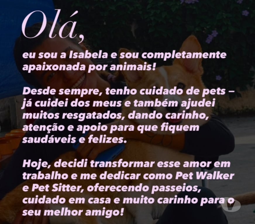 Veterinários - Serviços - Acessórios Vitoria ES Camburi - Fotos para Dog Walker e Pet Sitter