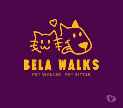 Veterinários - Serviços - Acessórios Camburi Vitoria ES - Fotos para Dog Walker e Pet Sitter