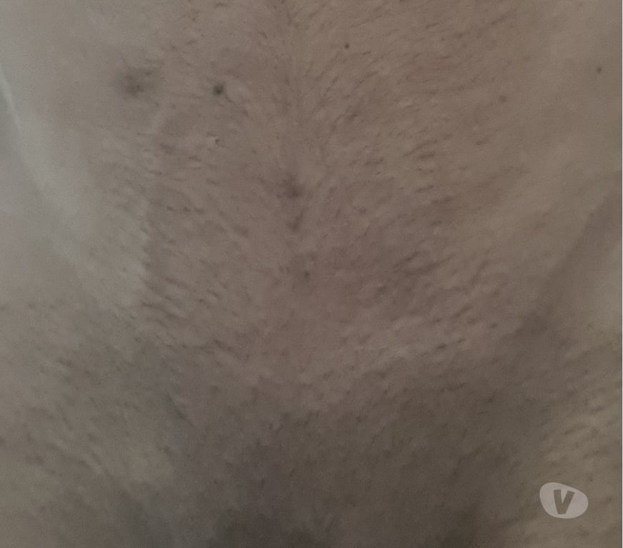 Encontros Casuais Sao Jose do Rio Preto SP - Fotos para 19cm afim sexo sem compromisso casal ou mulher