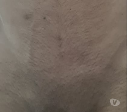 Encontros Casuais - Fotos para 19cm afim sexo sem compromisso casal ou mulher