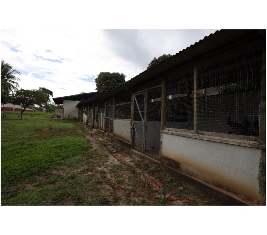 Fazendas - Sitios à venda Camacari BA - Fotos para Sítio em Coqueiros de Arembepe