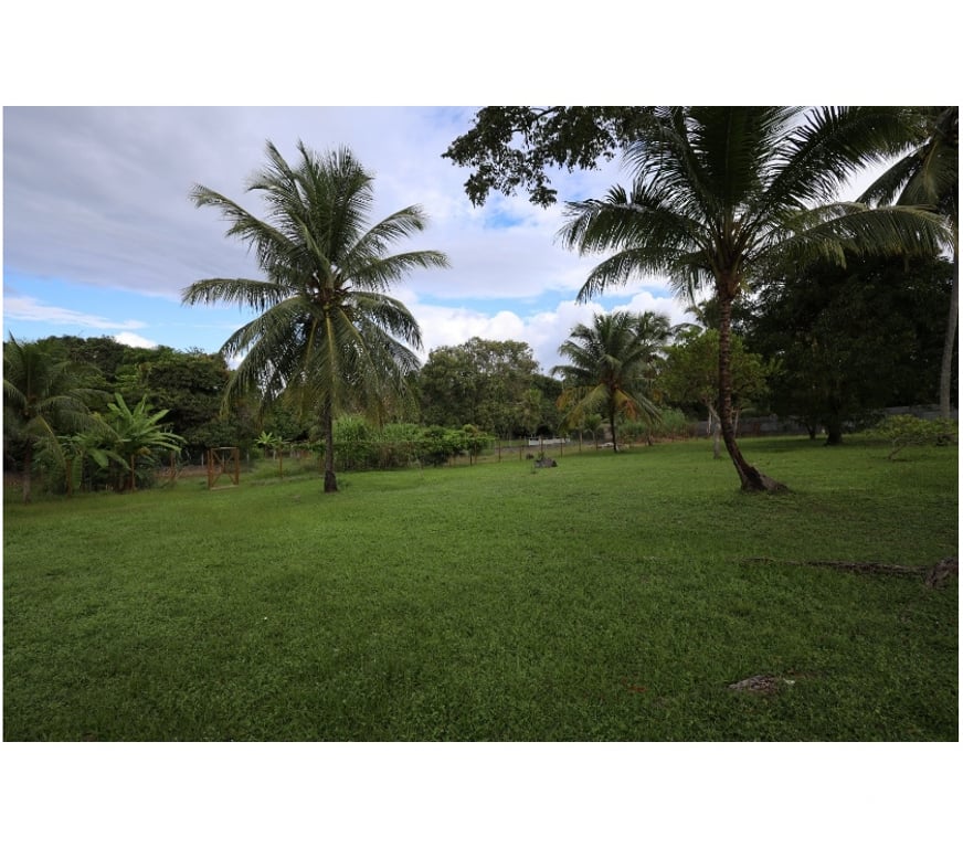 Fazendas - Sitios à venda Camacari BA - Fotos para Sítio em Coqueiros de Arembepe