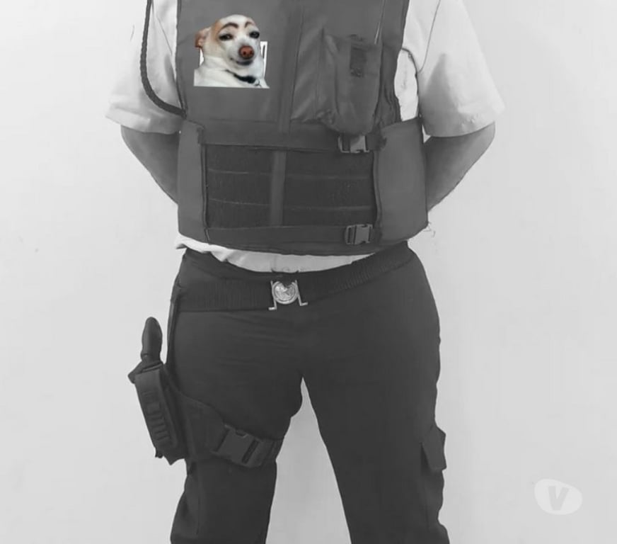 Encontros Casuais Altos PI - Fotos para SEGURANÇA PASSIVO SEM ENROLAÇÃO