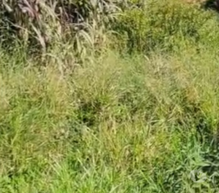 Terrenos Palhoca SC - Fotos para Terreno Praia da Pinheira 12,85 x 28,40 = 364,94 140m B.Mar