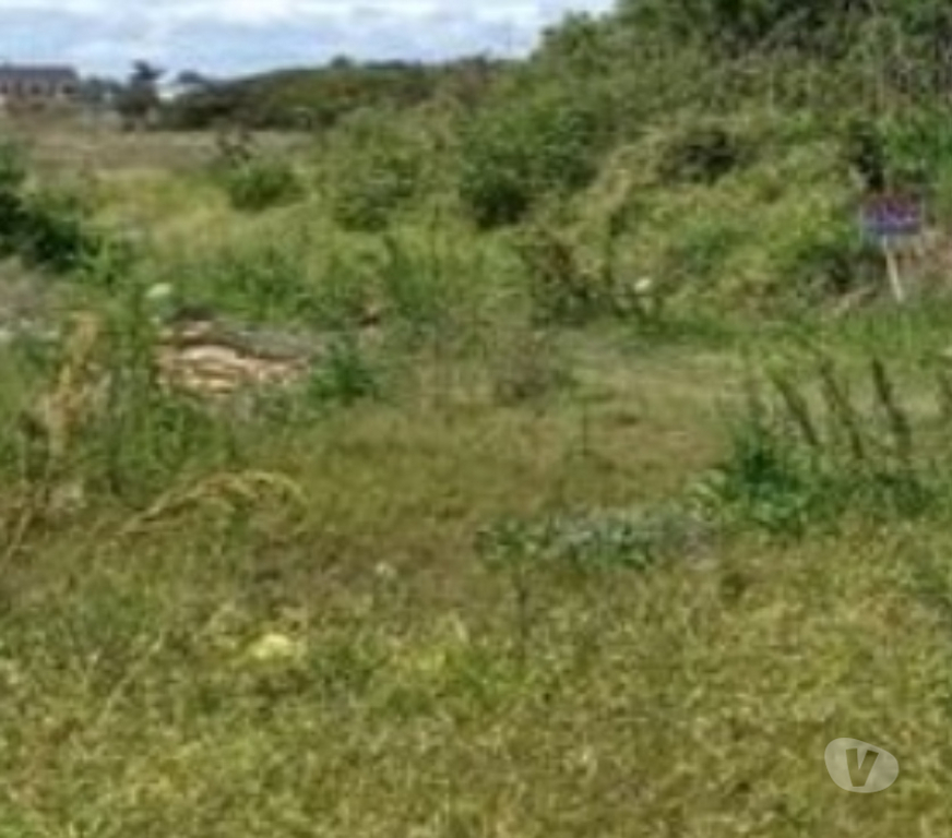 Terrenos Palhoca SC - Fotos para Terreno Praia da Pinheira 12,85 x 28,40 = 364,94 140m B.Mar