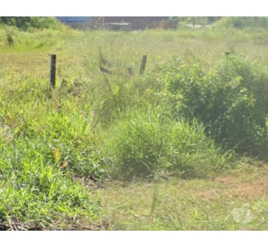 Terrenos Palhoca SC - Fotos para Terreno Praia da Pinheira 12,85 x 28,40 = 364,94 140m B.Mar