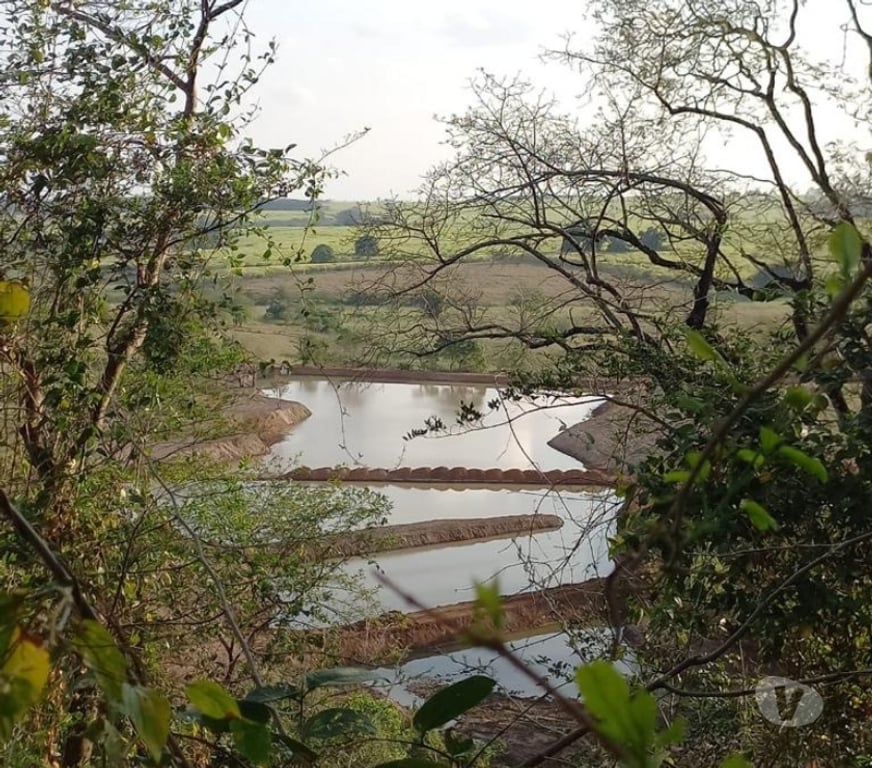 Fazendas - Sitios à venda Cedral SP - Fotos para VENDE-SE | SÍTIO EM CEDRAL