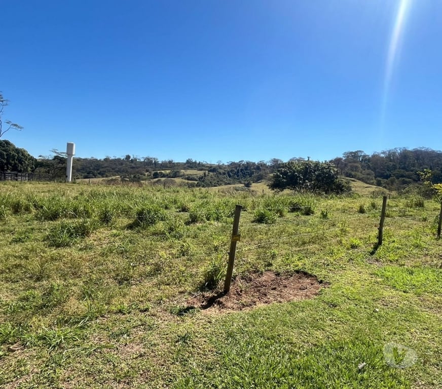 Fazendas - Sitios à venda Cedral SP - Fotos para VENDE-SE | SÍTIO EM CEDRAL