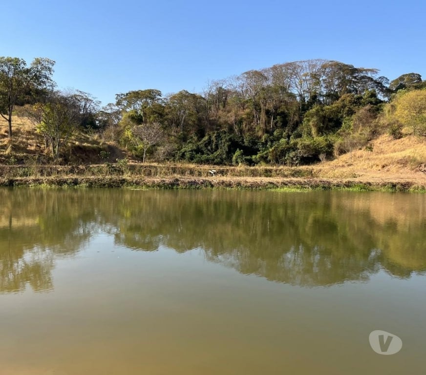 Fazendas - Sitios à venda Cedral SP - Fotos para VENDE-SE | SÍTIO EM CEDRAL